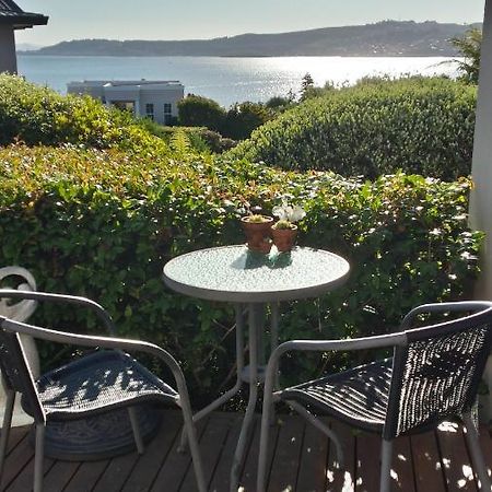 Charlies@Hilltop Deluxe Retreat Bed & Breakfast Taupo Exterior photo